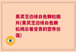 黑灵芝边缘白色颗粒图片(黑灵芝边缘白色颗粒揭示着宝贵的营养价值)
