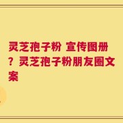 灵芝孢子粉 宣传图册？灵芝孢子粉朋友圈文案