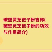 破壁灵芝孢子粉吉韩(破壁灵芝孢子粉的功效与作用简介)