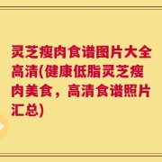 灵芝瘦肉食谱图片大全高清(健康低脂灵芝瘦肉美食，高清食谱照片汇总)