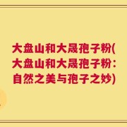 大盘山和大晟孢子粉(大盘山和大晟孢子粉：自然之美与孢子之妙)