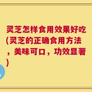 灵芝怎样食用效果好吃(灵芝的正确食用方法，美味可口，功效显著)