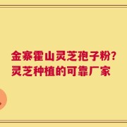 金寨霍山灵芝孢子粉？灵芝种植的可靠厂家