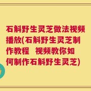 石斛野生灵芝做法视频播放(石斛野生灵芝制作教程  视频教你如何制作石斛野生灵芝)