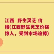 江西  野生灵芝 价格(江西野生灵芝价格惊人，受到市场追捧)