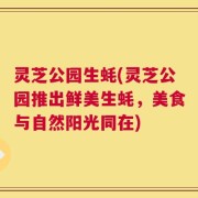 灵芝公园生蚝(灵芝公园推出鲜美生蚝，美食与自然阳光同在)