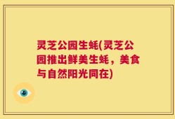 灵芝公园生蚝(灵芝公园推出鲜美生蚝，美食与自然阳光同在)