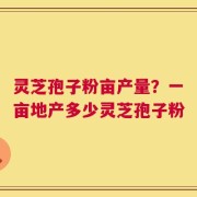 灵芝孢子粉亩产量？一亩地产多少灵芝孢子粉