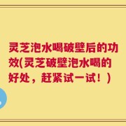 灵芝泡水喝破壁后的功效(灵芝破壁泡水喝的好处，赶紧试一试！)