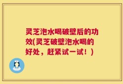 灵芝泡水喝破壁后的功效(灵芝破壁泡水喝的好处，赶紧试一试！)