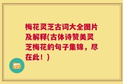 梅花灵芝古词大全图片及解释(古体诗赞美灵芝梅花的句子集锦，尽在此！)