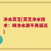 净水灵芝(灵芝净水技术：纯净水源不再遥远)