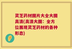 灵芝药材图片大全大图高清(高清大图：全方位展现灵芝药材的各种形态)