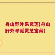 舟山野外采灵芝(舟山野外寻觅灵芝宝藏)