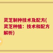 灵芝制种技术及配方(灵芝种植：技术和配方解析)