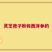 灵芝孢子粉和西洋参的