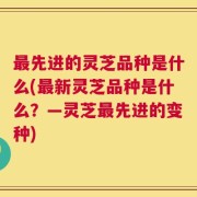 最先进的灵芝品种是什么(最新灵芝品种是什么？—灵芝最先进的变种)
