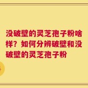 没破壁的灵芝孢子粉啥样？如何分辨破壁和没破壁的灵芝孢子粉