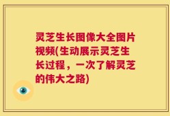 灵芝生长图像大全图片视频(生动展示灵芝生长过程，一次了解灵芝的伟大之路)