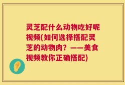 灵芝配什么动物吃好呢视频(如何选择搭配灵芝的动物肉？——美食视频教你正确搭配)