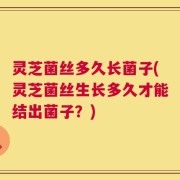 灵芝菌丝多久长菌子(灵芝菌丝生长多久才能结出菌子？)