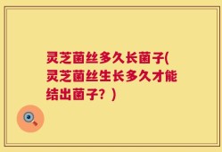 灵芝菌丝多久长菌子(灵芝菌丝生长多久才能结出菌子？)