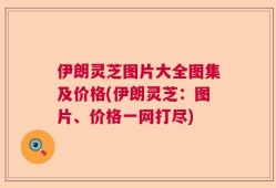 伊朗灵芝图片大全图集及价格(伊朗灵芝：图片、价格一网打尽)
