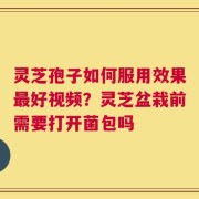 灵芝孢子如何服用效果最好视频？灵芝盆栽前需要打开菌包吗