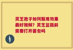 灵芝孢子如何服用效果最好视频？灵芝盆栽前需要打开菌包吗