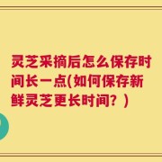 灵芝采摘后怎么保存时间长一点(如何保存新鲜灵芝更长时间？)