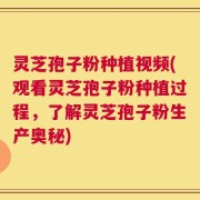 灵芝孢子粉种植视频(观看灵芝孢子粉种植过程，了解灵芝孢子粉生产奥秘)