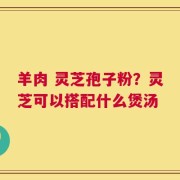 羊肉 灵芝孢子粉？灵芝可以搭配什么煲汤