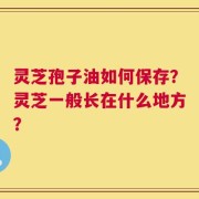灵芝孢子油如何保存？灵芝一般长在什么地方？