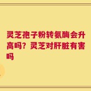 灵芝孢子粉转氨酶会升高吗？灵芝对肝脏有害吗