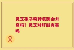 灵芝孢子粉转氨酶会升高吗？灵芝对肝脏有害吗