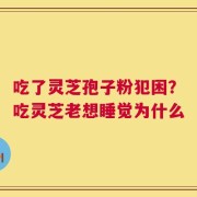 吃了灵芝孢子粉犯困？吃灵芝老想睡觉为什么