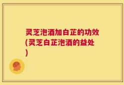 灵芝泡酒加白芷的功效(灵芝白芷泡酒的益处)