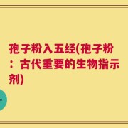 孢子粉入五经(孢子粉：古代重要的生物指示剂)