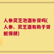 人参灵芝泡酒补肾吗(人参、灵芝酒有助于肾脏保健)