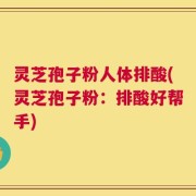 灵芝孢子粉人体排酸(灵芝孢子粉：排酸好帮手)