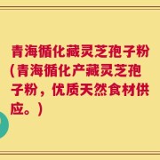 青海循化藏灵芝孢子粉(青海循化产藏灵芝孢子粉，优质天然食材供应。)