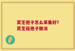 灵芝孢子怎么采集好？灵芝菇孢子做法
