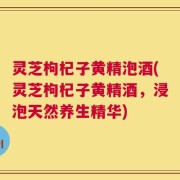 灵芝枸杞子黄精泡酒(灵芝枸杞子黄精酒，浸泡天然养生精华)
