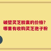 破壁灵芝胶囊的价格？哪里有收购灵芝孢子粉