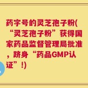 药字号的灵芝孢子粉(“灵芝孢子粉”获得国家药品监督管理局批准，跻身“药品GMP认证”!)