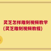 灵芝怎样雕刻视频教学(灵芝雕刻视频教程)