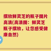 摆放鲜灵芝的瓶子图片高清(高清图：鲜灵芝瓶子摆放，让您感受健康自然)