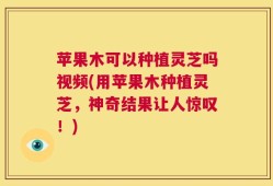 苹果木可以种植灵芝吗视频(用苹果木种植灵芝，神奇结果让人惊叹！)