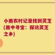 小雨农村记录找到灵芝(雨中寻宝：探访灵芝之乡)