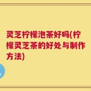 灵芝柠檬泡茶好吗(柠檬灵芝茶的好处与制作方法)